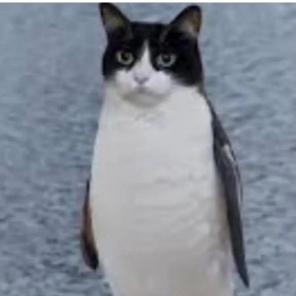 Meet your Posher, Michael - Picture 1 of 1